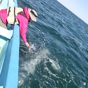 IMG 0001 2 (343)